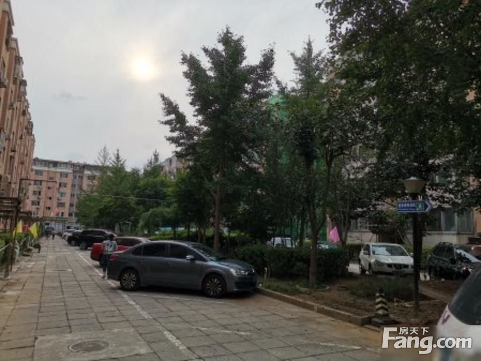 实景图