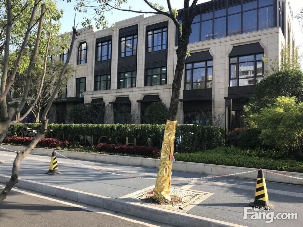 实景图