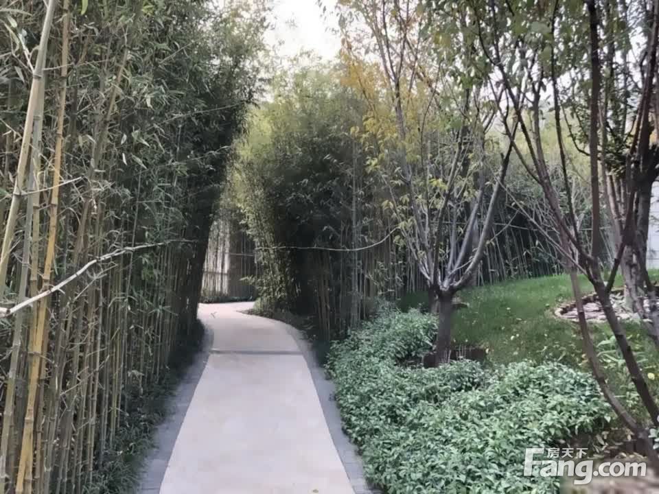 实景图