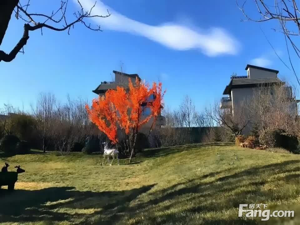 实景图