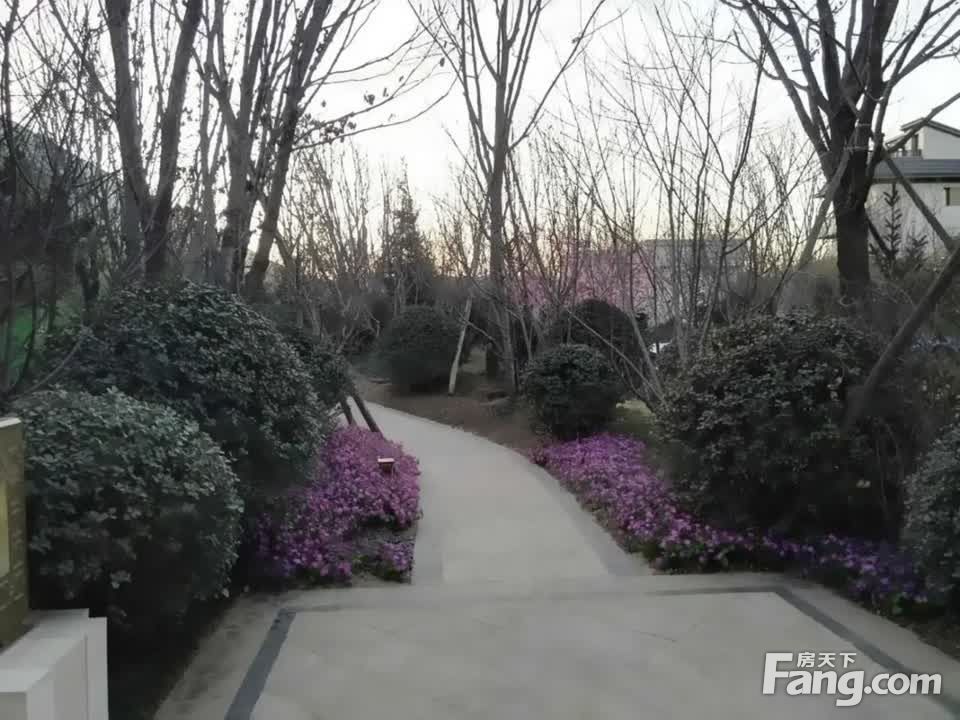 实景图