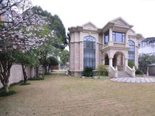 房东移民急售!豪装带私家电梯,客厅挑空11 ,围墙高3随时看