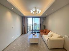 光星华府 高楼层,全屋定制精装,