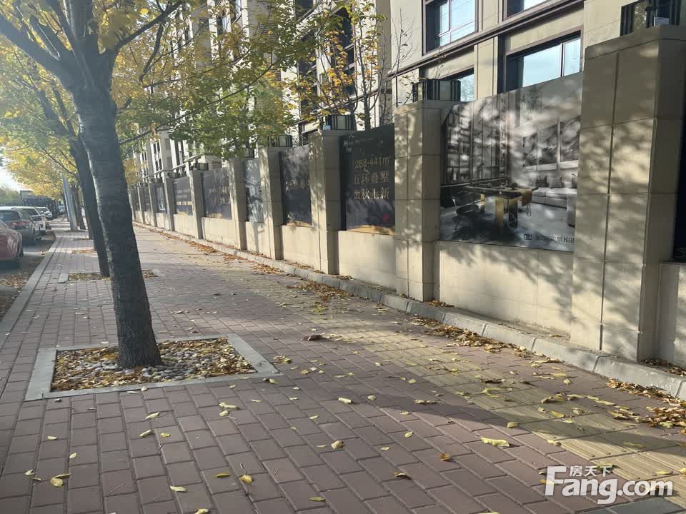 实景图