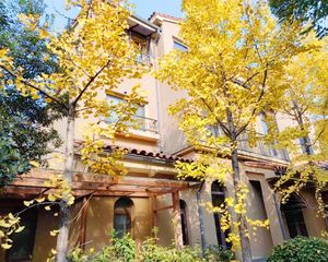 房东主动来电,呐喊价!598万,联排别墅。广电板块