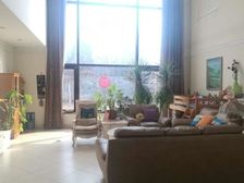 碧水庄园独栋275平加地下100平1 南 350平