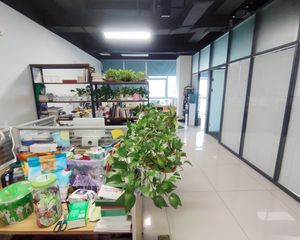 4号线地铁旁 嘉悦广场 甲级纯写 122平 1.9万/平