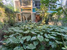 私家花园 私家平台车库 南北对流 近公园不如住公园 麓湖公园