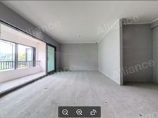 国宾雅集 平层套四 天府艺术公园旁 位置佳