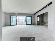 天府艺术公园 国宾雅集 清水套四三卫 洋房