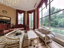 碧水庄园 占地2400平米的别墅 4800万的价格