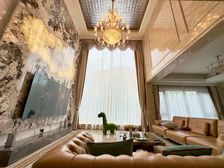 加州风情独栋!800 新豪装!挑空9 !占地1200平!随时