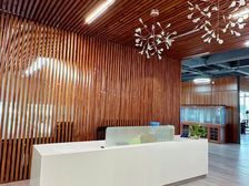 房东直租,写字楼(可做商业)汇银带500平大露台花园