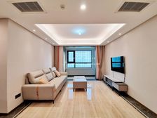 cbd 仁恒精装品质三居室 业主急售 万象城南 客厅朝阳