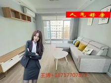 精装全送 双公园天然氧吧 商业配套 有车位 急售