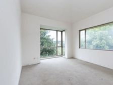 西太湖 独栋别墅 天安别墅 纯毛坯 大院子 可以大刀