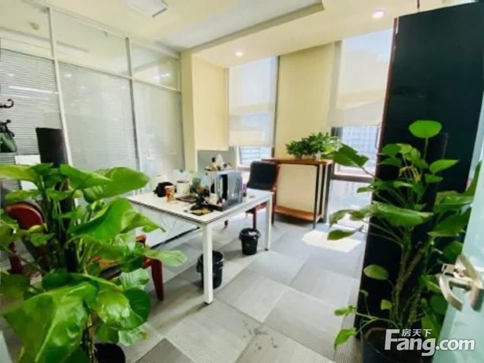 内景图