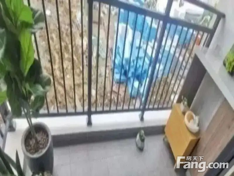 室内图