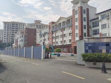 五层商业 五邑碧桂园旁电梯独栋 带租出售2030万