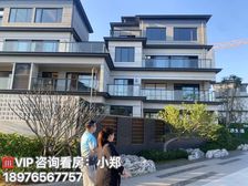 海南·定安《南丽湖一号别墅》100㎡叠拼别墅 特价148万