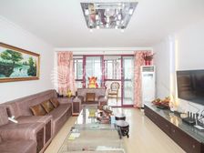 紫罗兰电梯高区景观房!南北通透飞机大三房