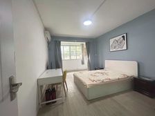 新出精装修一房,延吉中路地铁站边上,看房有钥匙