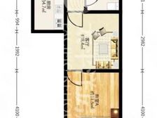 新上内环边上!送15天井,阳光太刺眼拉!南北直通带客厅