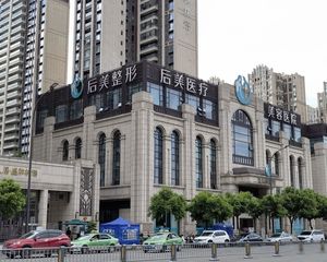 独栋整层旺铺(整形医院 年租240万)65米开间 即买即