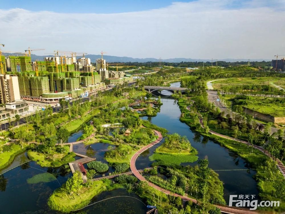 实景图