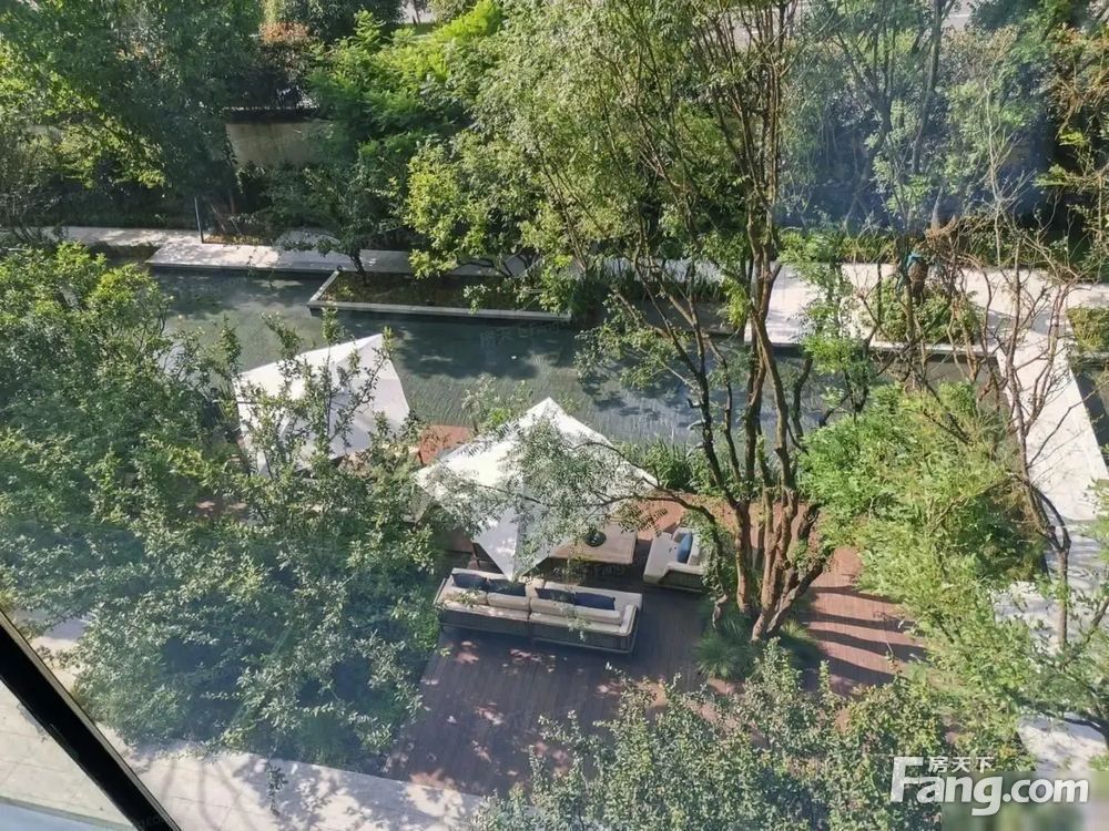 实景图