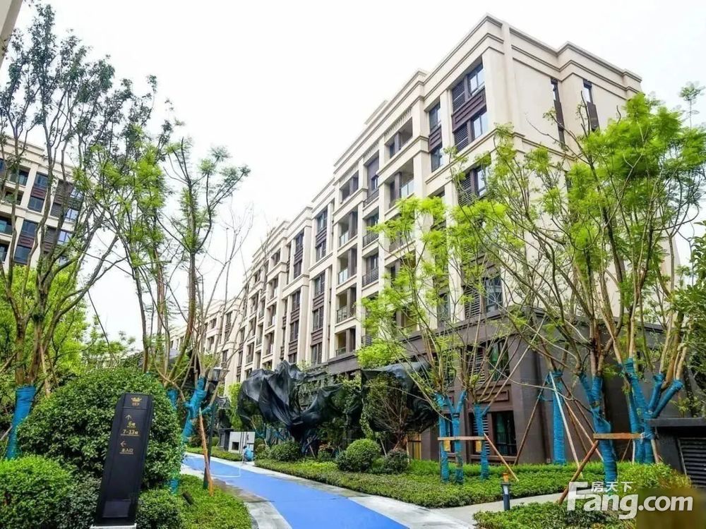 实景图