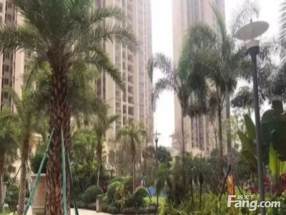 室内图