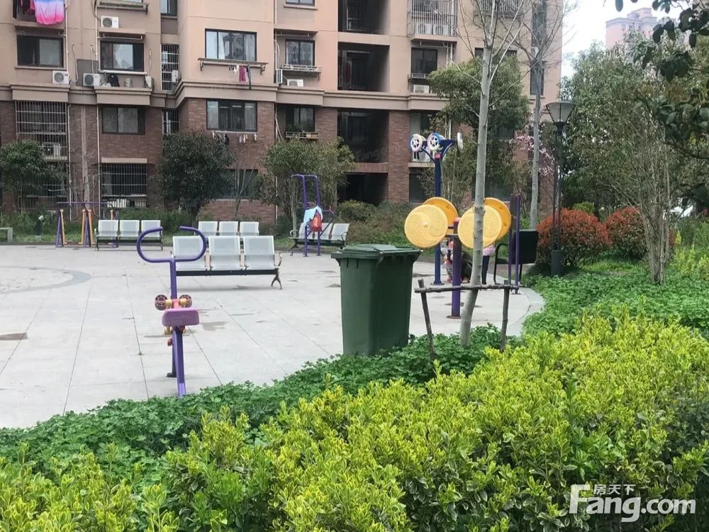 实景图