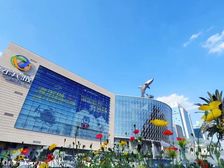 总价122万起捡漏新双楠网红盘现房(房源有限手慢无)