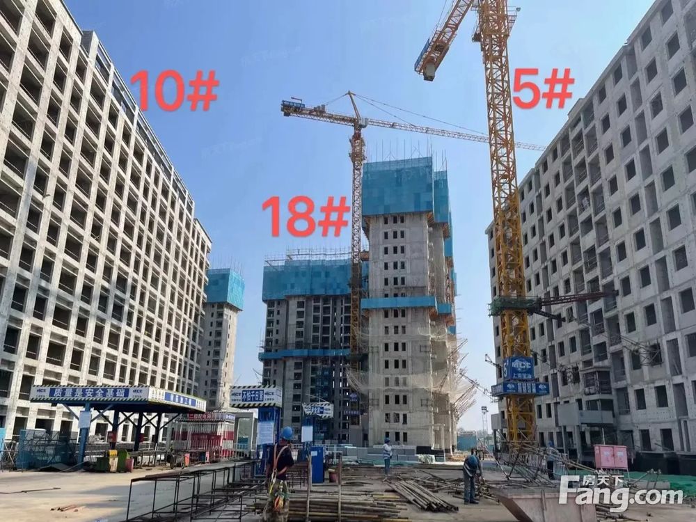 实景图