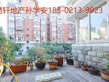 十年难遇 1桐柏公寓飞机3房,双南一北,户型正气,安静位置