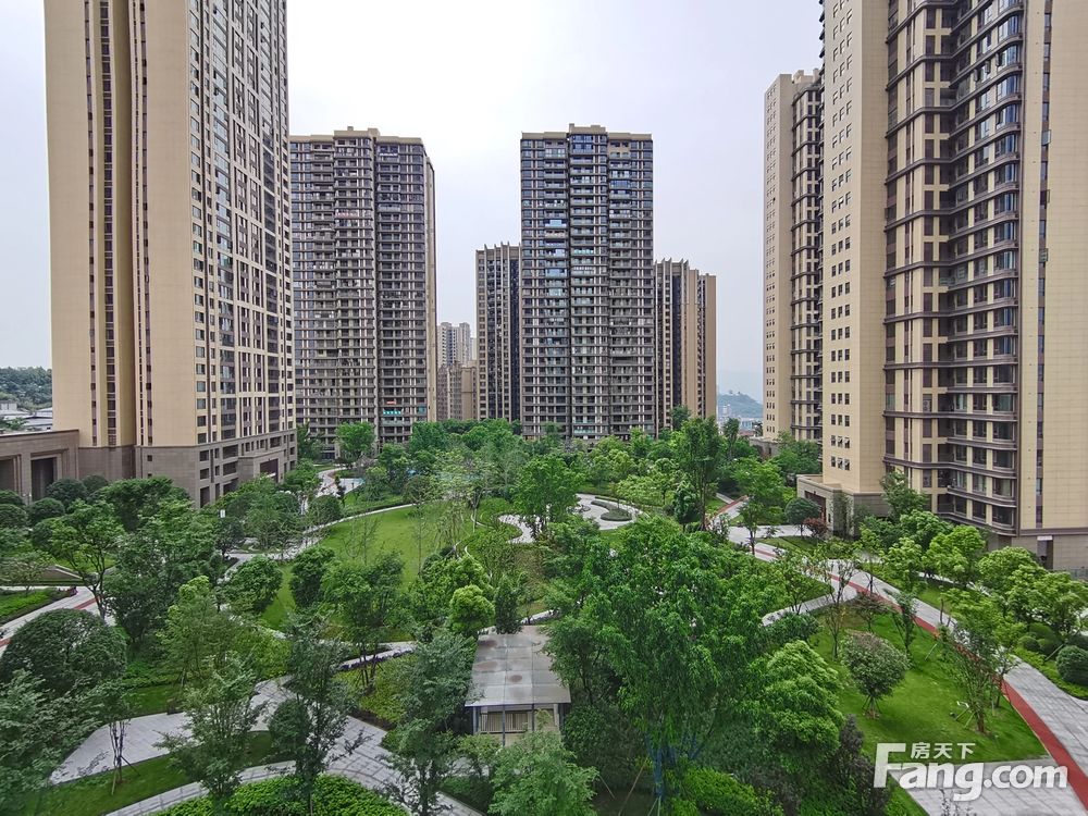 实景图
