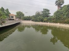 碧桂园凤凰城凤翔苑别墅 209平4居 南向简装修 随时签约