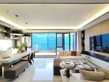 中央别墅区现房别墅 特价工抵 使用500平 上三下二带大花园