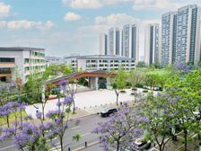 单价1.8万起买入天府新区秦皇寺155平大平层