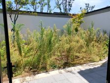 大虹桥青浦苏式园林风格院墅!17号线地铁2/10号线