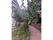 临水472平独栋赠地下室与阁楼2梯队上实西校2004年古龙城