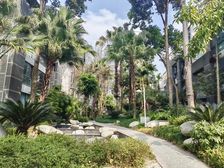 浣花溪大平层【稀缺4层楼电梯房】享受别墅环境,出门即公园