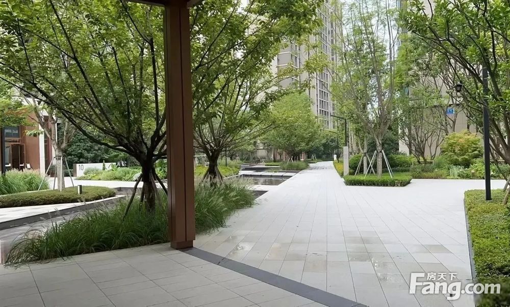 必看好房 天湖湾 高品质楼盘 电梯入户 精装 即买