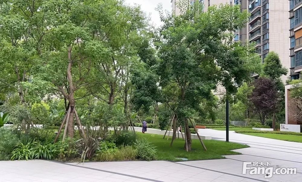 必看好房 天湖湾 高品质楼盘 电梯入户 精装 即买