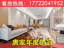 捡漏价100万!抄底!珠海北站【仁恒河滨花园】一线河景带精装