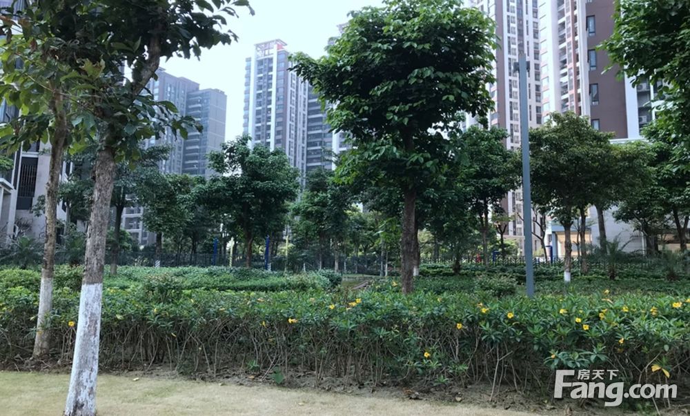 精装南向大3房2卫 保养好 看房方便 价格可谈,佛山顺德伦教万科沁园