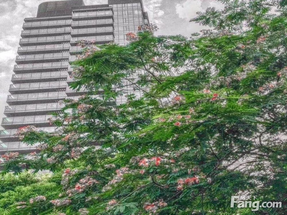 小区相关图