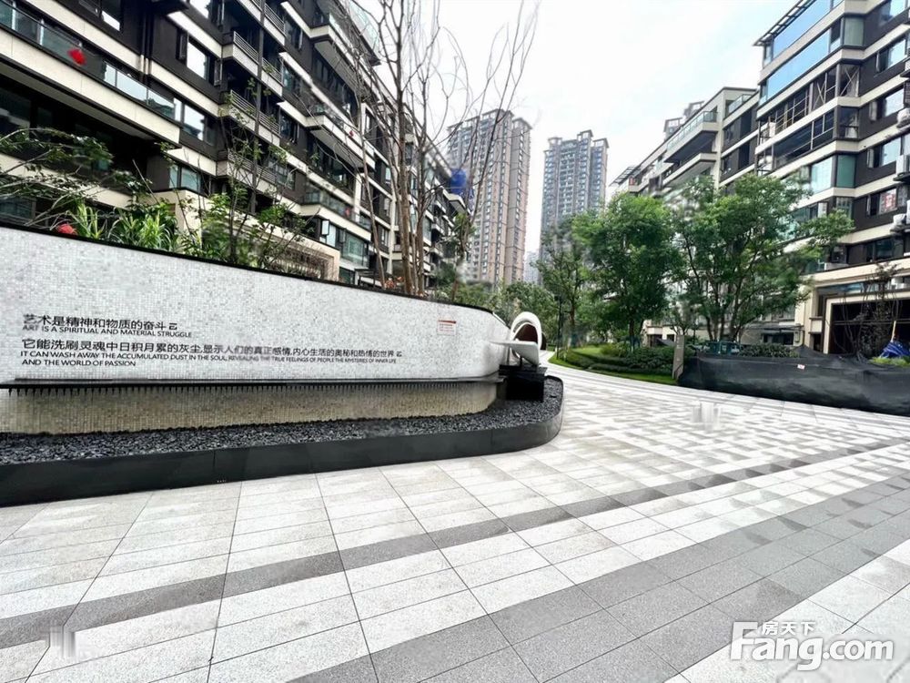 实景图