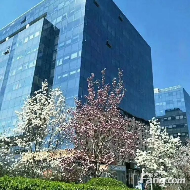 内景图